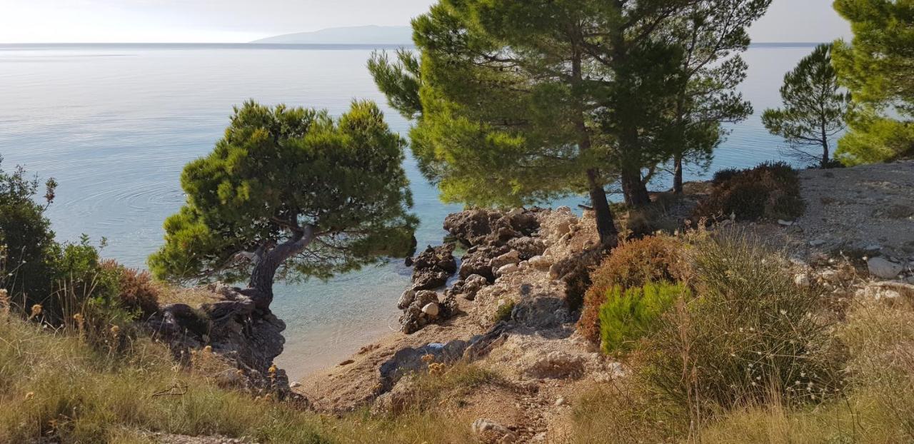 Luxury Apartment Spa "Marina" Makarska Kültér fotó